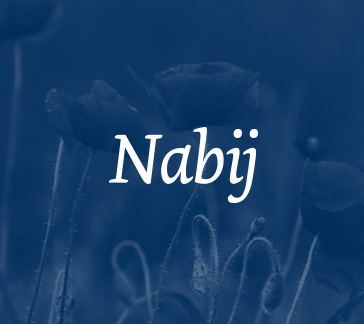 'Nabij' 25 jaar Stichting Terminale Thuiszorg Kampen e.o. - Brainstorm ...
